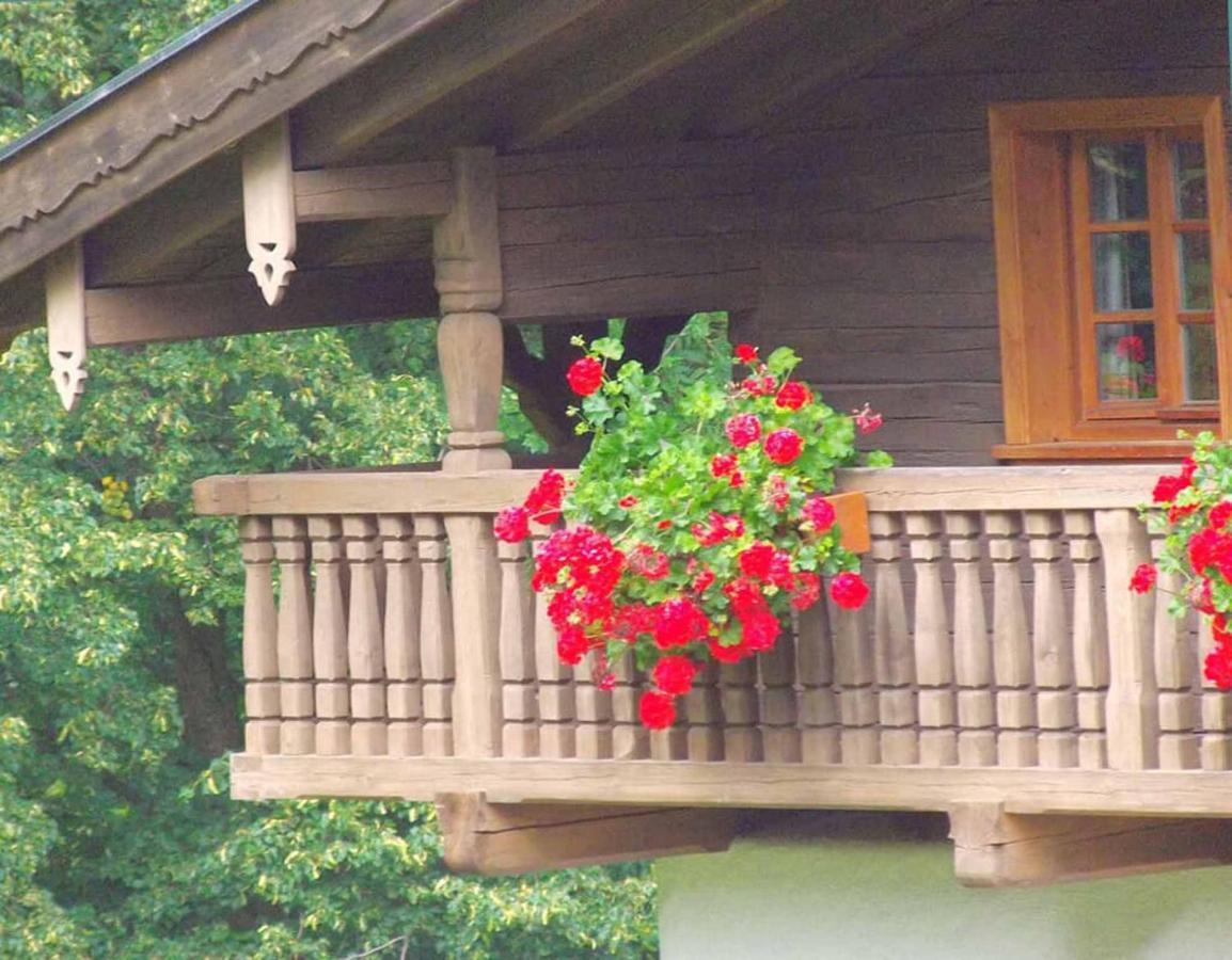 Ferienpension Posthof Waldmünchen المظهر الخارجي الصورة
